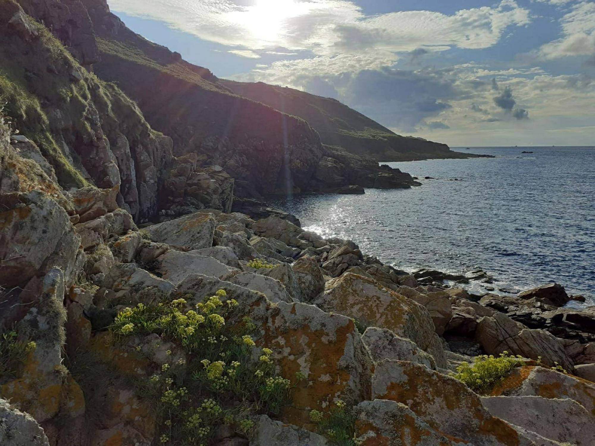 Maison Cosy Vue Mer A Guimaec Eksteriør billede